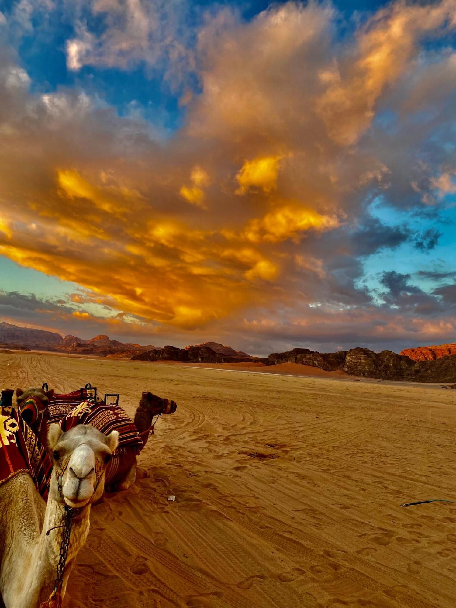 Rum Four Mountain Luxury Camp Wadi Rum Eksteriør billede